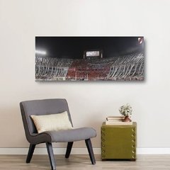 Cuadros Panoramicos River Plate