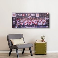 Imagen de Cuadros Panoramicos River Plate