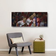 Cuadros Panoramicos River Plate - comprar online