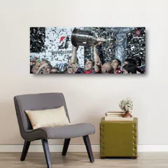 Cuadros Panorámicos San Lorenzo