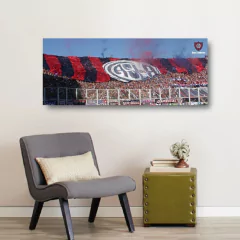 Cuadros Panorámicos San Lorenzo en internet