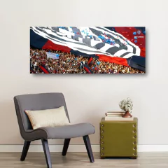 Cuadros Panorámicos San Lorenzo - Mikiu Design