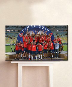 Cuadro Rectangular - Indpendiente Campón de la Sudamericana 2 - comprar online