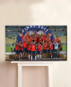 Cuadro Rectangular - Campeon 2017 Sudamericana - comprar online