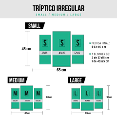 Cuadro Triptico Irregular Estudiantes de la Plata #67 - comprar online