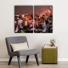 Imagen de Cuadros Dípticos de River Plate