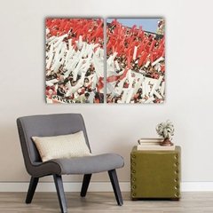 Cuadros Dípticos de River Plate - comprar online
