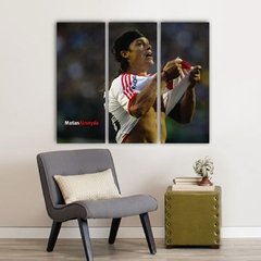 Cuadro Triptico River Plate en internet