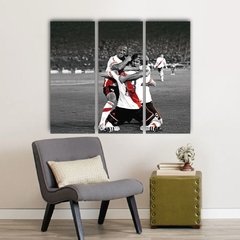 Cuadro Triptico River Plate