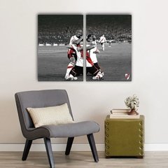 Cuadros Dípticos de River Plate en internet