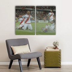 Imagen de Cuadros Dípticos de River Plate