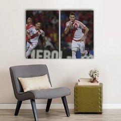 Cuadros Dípticos de River Plate