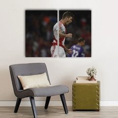 Cuadros Dípticos de River Plate - comprar online