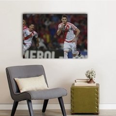 Cuadros Rectangulares River Plate