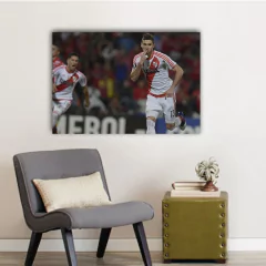 Cuadros Rectangulares River Plate