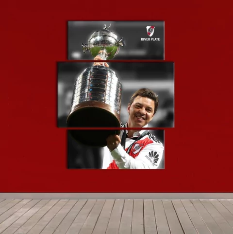 Cuadros Tripticos Irregulares River Plate Campeón #73 Gallardo Copa