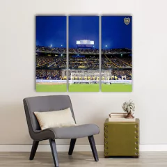 Cuadro Tríptico Boca Junior