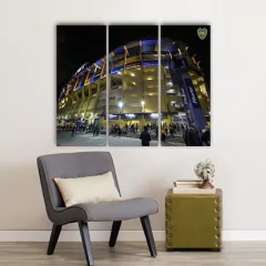 Cuadro Tríptico Boca Junior en internet