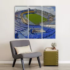 Cuadro Tríptico Boca Junior