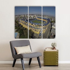 Cuadros Trípticos Boca Juniors