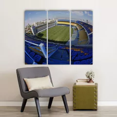 Cuadro Tríptico Boca Junior en internet