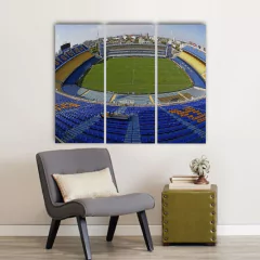 Cuadro Tríptico Boca Junior - Mikiu Design