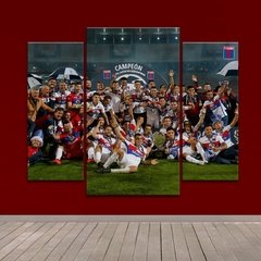 Cuadro Triptico Irregular Tigre Campeon Copa Superliga 2019