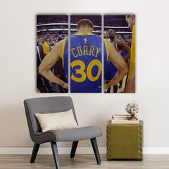 Cuadros Trípticos Stephen Curry - tienda online