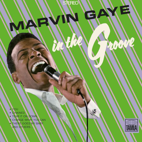 MARVIN GAYE IN THE GROOVE Vinilo