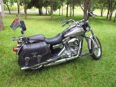 Protetor de Motor Tubular - comprar online
