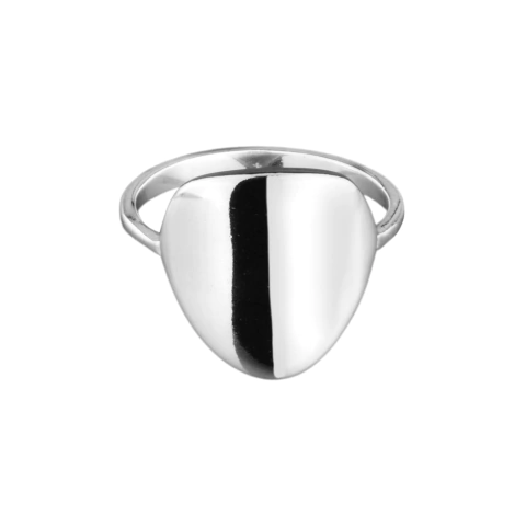 Anel Circulo Chapado Curvalado - Prata 925 - comprar online