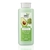 Fresh Food Body Lotion Palta, Macadamia y Matcha 330 gr - comprar online