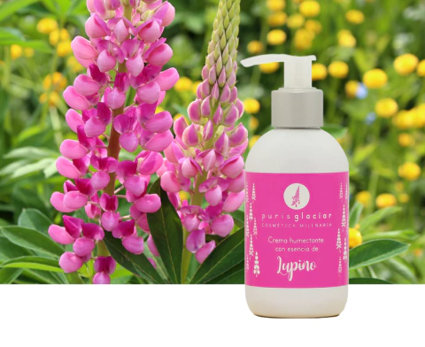 Crema humectante con esencia de Lupino
