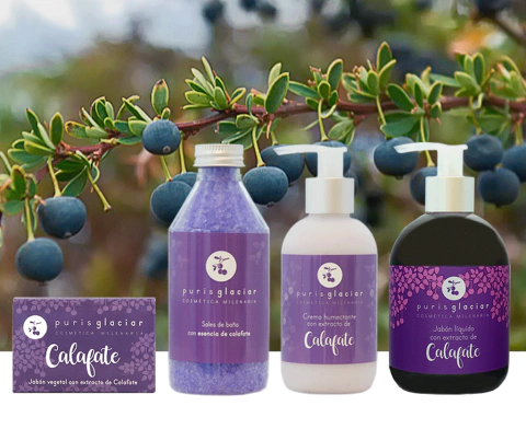 Set de 4 Productos antioxidantes con Extracto de CALAFATE