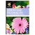 LIBRO ESENCIAS FLORALES - Barbara Espeche - comprar online