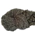 Chenille en madeja - comprar online