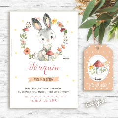 Kit Conejito Acuarela. Imprimible personalizable