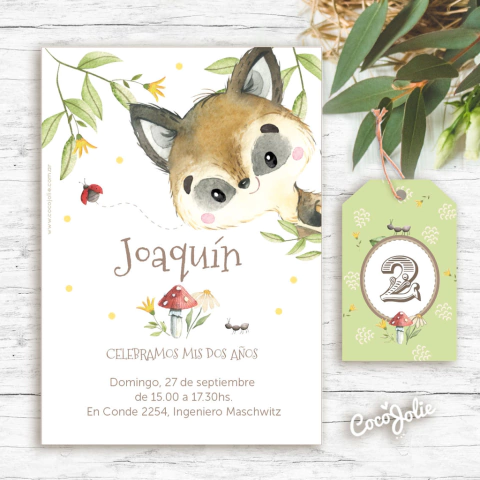 Kit Mapache del Bosque