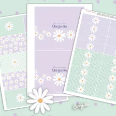 Kit Margarita Violeta