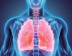 REGULADOR PULMONAR (1 CAJA DE HIDROLIZADO X 10 AMPOLLAS BEBIBLES) -
