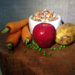 Combo Simple Dog Carne 5,4 kg