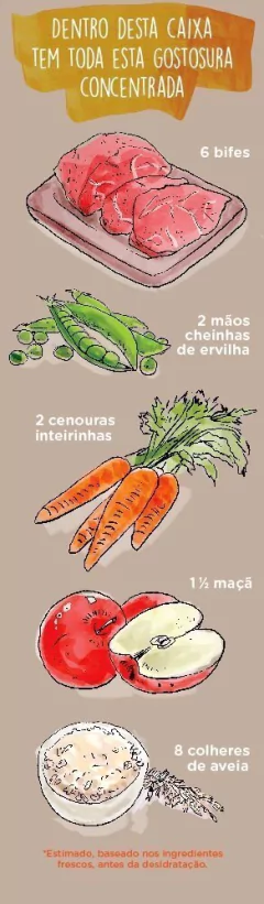 Simple Dog Carne 440 g