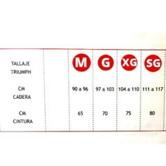 Imagen de Bombacha sloggi classic maxi PACK X2 "TRIUMPH"