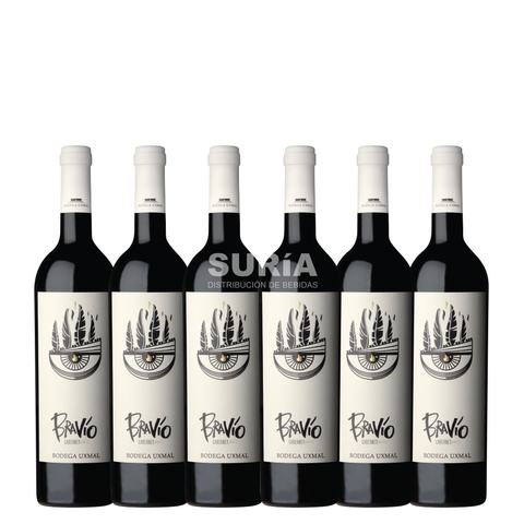 BRAVIO CABERNET 750 X 6