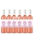 H J FABRE MALBEC ROSE 750 X 6