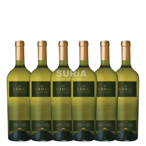 UXMAL ALTO SAUVIGNON BLANC 750 X 6