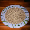 Poroto de Soja x 1kg