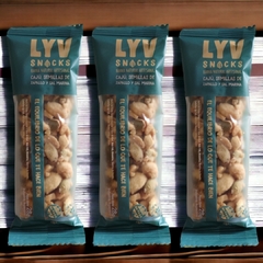 Barra artesanal Castañas de Caju, Semillas de Zapallo y Sal Marina x 30 grs LYV (x 9 unidades) - comprar online