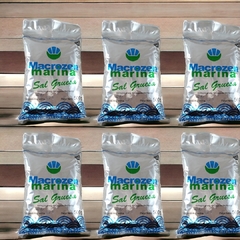 Sal Marina Gruesa x 500 grs MACROZEN (x 10 unidades) - comprar online