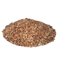 Lentejon Nacional Grande x 1 kg en internet